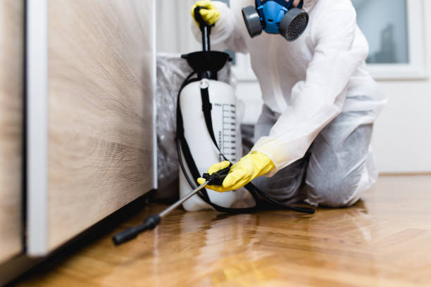 Pest Control for Restaurants in Sullivan City, TX