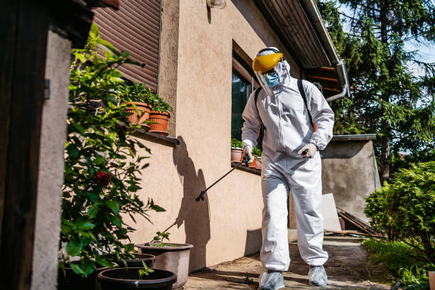 Best Pest Removal Services  in Sullivan City, TX
