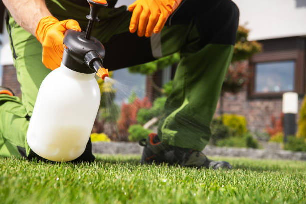 Best Best Pest Control Companies  in Sullivan City, TX