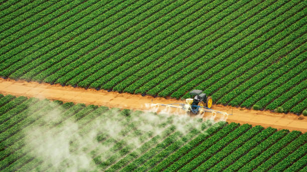 Professional Pest Control in Sullivan City, TX