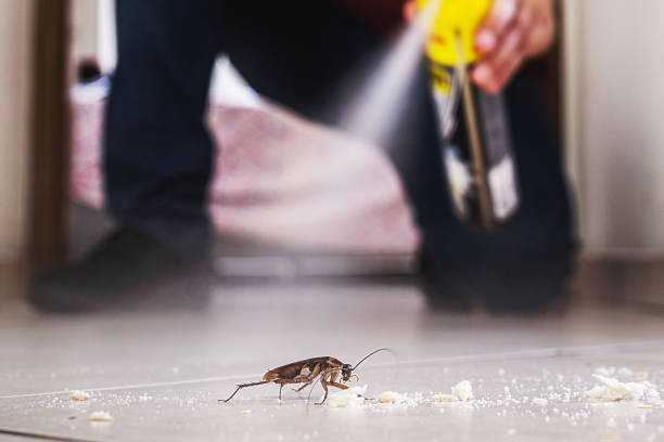 Best Pest Prevention Services  in Sullivan City, TX