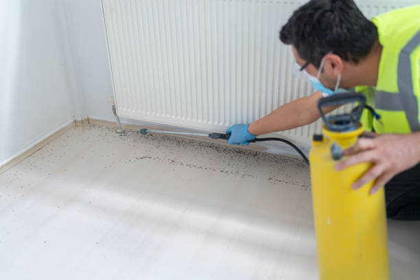 Best Emergency Pest Control  in Sullivan City, TX